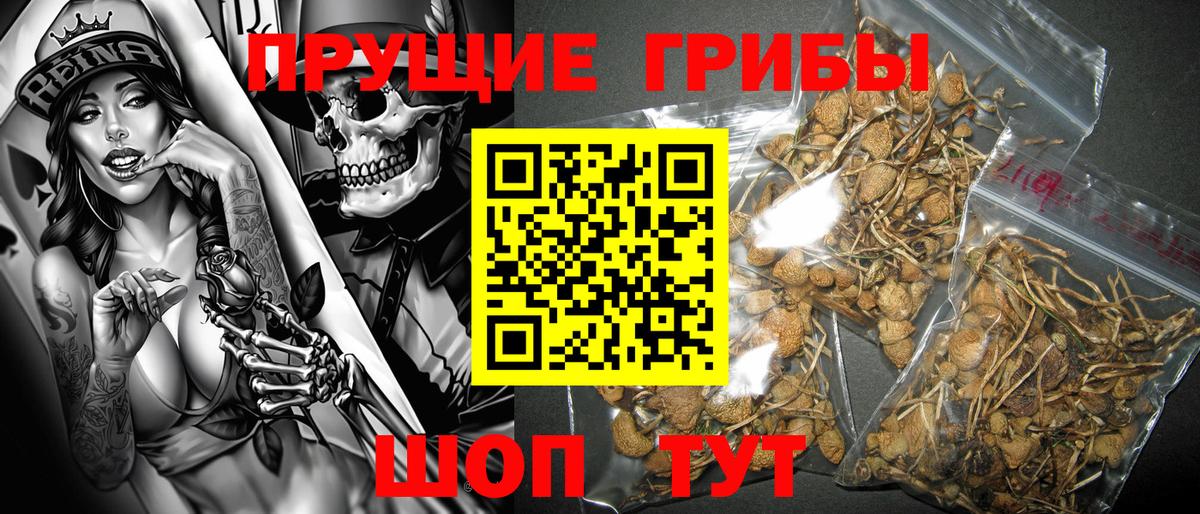 Избербаш  Галлюциногенные грибы Magic Shrooms  Вход с VPN  Псилоцибиновые грибы Cubensis 