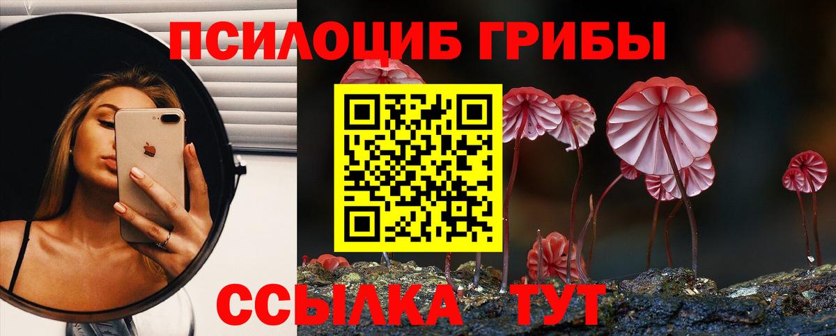 Псилоцибиновые грибы MAGIC MUSHROOMS Избербаш